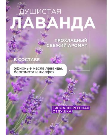 SYNERGETIC Liquid soap for hands and body moisturizing lavender 5 liters - Buy Online on GoSupps.com