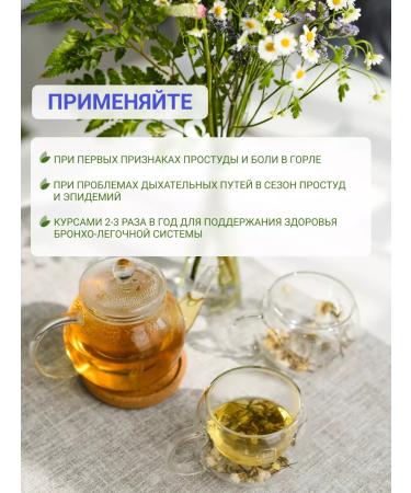 Altai cedar Herbal tea healthy throat. With pine buds - Buy Online on GoSupps.com