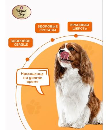 Grand Dog Dry food for small dogs Lion gov - Buy Online on GoSupps.com