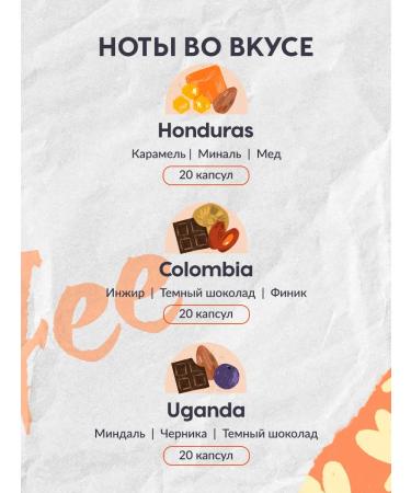 HOME BARISTA Coffee capsule Nespresso format 60 pcs. "Scandinavia" - Buy Online on GoSupps.com