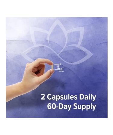 ORZAX 5 HTP TRIPTOPHAN SUBLECTION TURGETHING - Buy Online on GoSupps.com