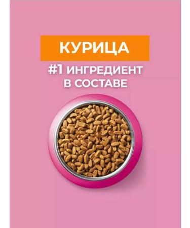 PURINA ONE Dry food for kittens 1.5 kg - Buy Online on GoSupps.com