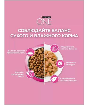 PURINA ONE Dry food for kittens 1.5 kg - Buy Online on GoSupps.com