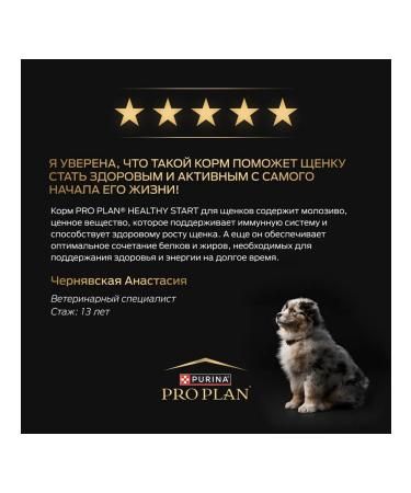 PRO PLAN Dog food dry Small Mini Puppy chicken 3 kg - Buy Online on GoSupps.com