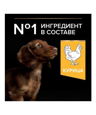 PRO PLAN Dog food dry Small Mini Puppy chicken 3 kg - Buy Online on GoSupps.com