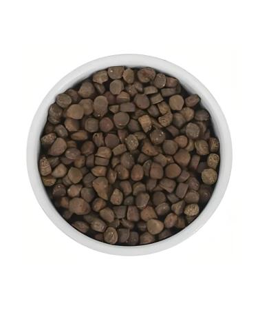 SAVITA Bezernary food for sterilized cats with trout 5 kg - Buy Online on GoSupps.com