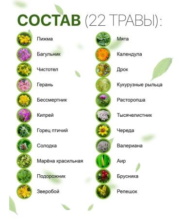 U-REFOL Herbal collection renal stones phyto tea - Buy Online on GoSupps.com