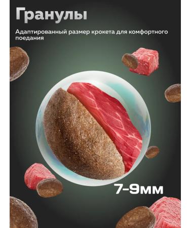 Zoogourman Dry food for small dogs beef 1.2 kg - Buy Online on GoSupps.com
