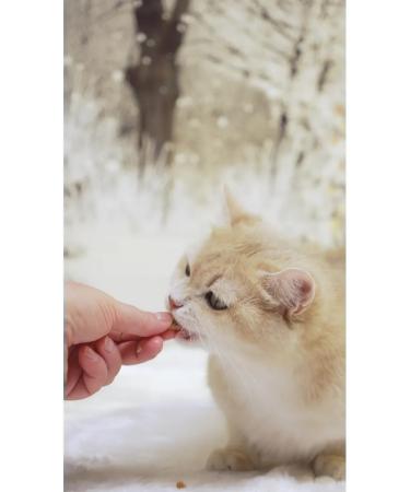 Japan Premium Pet Cotton for cats souffle with a Japanese tuna 3 units - Buy Online on GoSupps.com