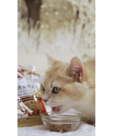 Japan Premium Pet Cotton for cats souffle with a Japanese tuna 3 units - Buy Online on GoSupps.com