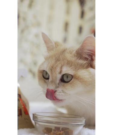 Japan Premium Pet Cotton for cats souffle with a Japanese tuna 3 units - Buy Online on GoSupps.com