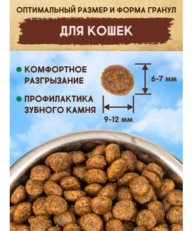 Dezzie Dry cat food for sterilized 2 kg premium - Buy Online on GoSupps.com