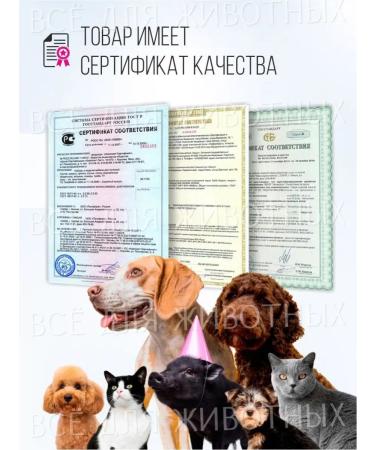 Littoral Drops from sexual hunting universal - Buy Online on GoSupps.com