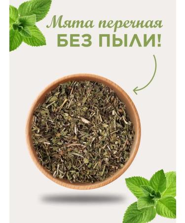 Biogra Peppermint sheet - Buy Online on GoSupps.com