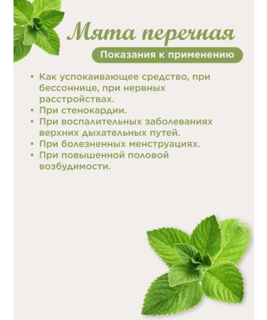 Biogra Peppermint sheet - Buy Online on GoSupps.com