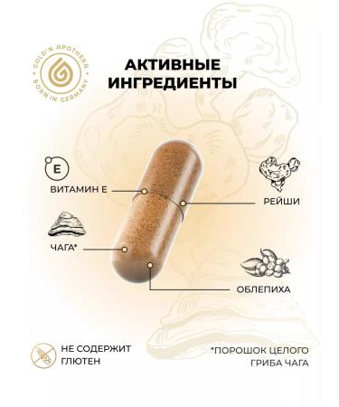 GOLD'N APOTHEKA Chaga Reishi mushrooms antioxidants hepatoprotector 60 capsules - Buy Online on GoSupps.com