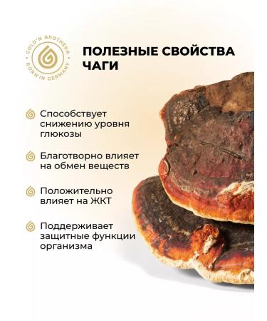 GOLD'N APOTHEKA Chaga Reishi mushrooms antioxidants hepatoprotector 60 capsules - Buy Online on GoSupps.com