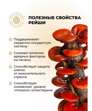 GOLD'N APOTHEKA Chaga Reishi mushrooms antioxidants hepatoprotector 60 capsules - Buy Online on GoSupps.com