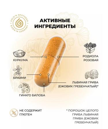 GOLD'N APOTHEKA Ezhovik Combed dietary supplement for memory and brain - Buy Online on GoSupps.com