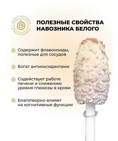 GOLD'N APOTHEKA Shiitaka hedgehog riddled reishi mushrooms Support for immunity - Buy Online on GoSupps.com