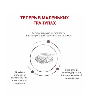 ROYAL CANIN Dry food for dogs Gastrointestinal 1 kg - Buy Online on GoSupps.com