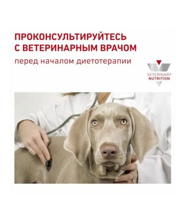 ROYAL CANIN Dry food for dogs Gastrointestinal 1 kg - Buy Online on GoSupps.com