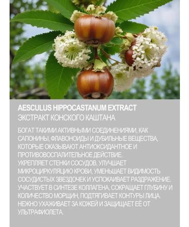 LIFEBUOY Cream for tired legs with chestnut and goldener - Buy Online on GoSupps.com