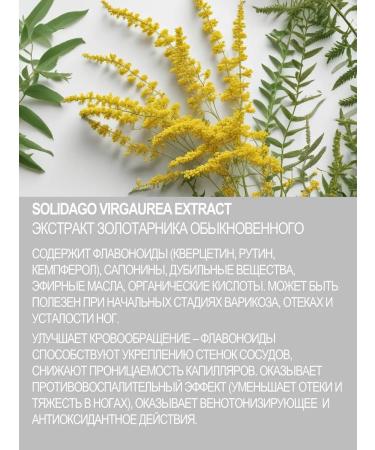 LIFEBUOY Cream for tired legs with chestnut and goldener - Buy Online on GoSupps.com