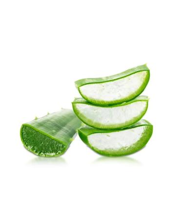 chi Aloe Vera soft shampoo without sulfate for all hair types - Buy Online on GoSupps.com