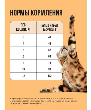 BOWL WOW Feed for cats with sensitive digestion 400 g - Buy Online on GoSupps.com