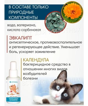 Littoral Antiseptic for cats anti -inflammatory agent - Buy Online on GoSupps.com
