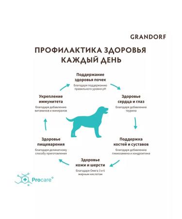 Grandorf Rabbit with a turkey Adult 10 kg of New - Buy Online on GoSupps.com