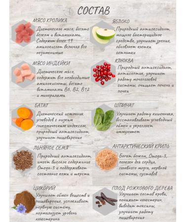 Grandorf Rabbit with a turkey Adult 10 kg of New - Buy Online on GoSupps.com