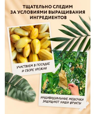 Tastes of the World Natural coconut chips 240 g - Buy Online on GoSupps.com