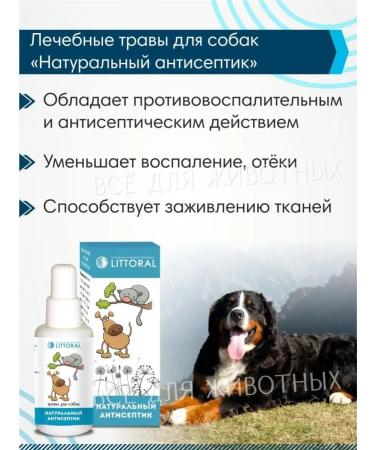 Littoral Antiseptic for dogs wound healing - Buy Online on GoSupps.com