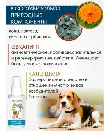 Littoral Antiseptic for dogs wound healing - Buy Online on GoSupps.com