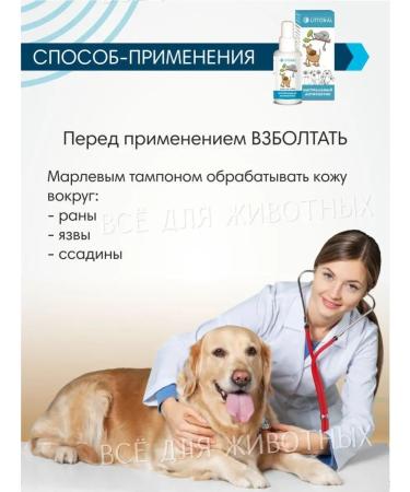 Littoral Antiseptic for dogs wound healing - Buy Online on GoSupps.com