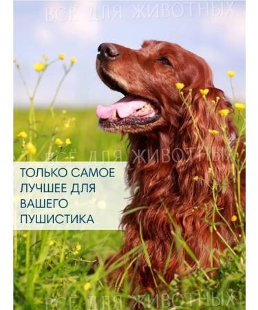 Littoral Vitamins for dogs from wool loss - Buy Online on GoSupps.com