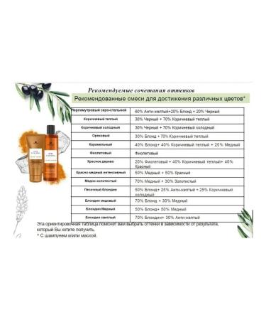 Fauvert Professionnel Shampoo tinted copper 500 ml - security - Buy Online on GoSupps.com