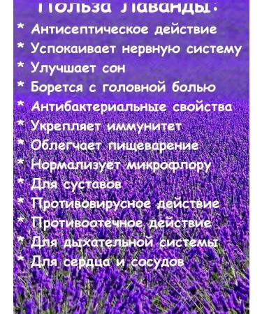 EMPIRE OF TEA Lavender dried lavender dry flowing phytocha - Buy Online on GoSupps.com