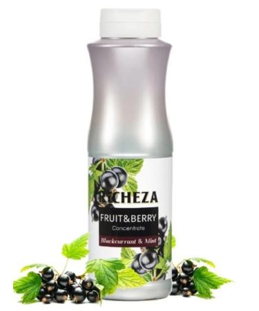 RiCHEZA Concentrate base for drinks black currant-grinding 1 kg