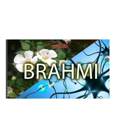 Indra Brahmi Brahmi 100g nerves-Mozg Collagen - Buy Online on GoSupps.com