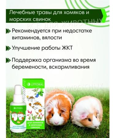 Littoral Vitamins for hamsters and guinea pigs High grass herbs - Buy Online on GoSupps.com