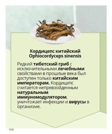 Indra Cordyceps 2 packs of 60 capsules - Buy Online on GoSupps.com