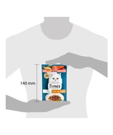 Gourmet Pearl wet food for cats with salmon in sauce - 75 g x 26 pcs - Buy Online on GoSupps.com