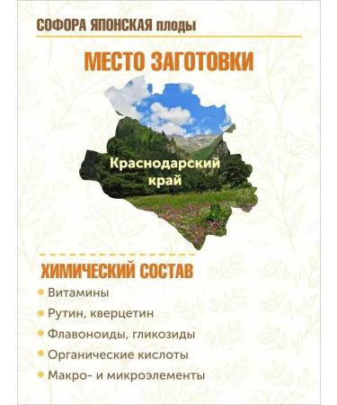 STAROSLAV Sophora Japanese (fruits 50 g.) - Buy Online on GoSupps.com