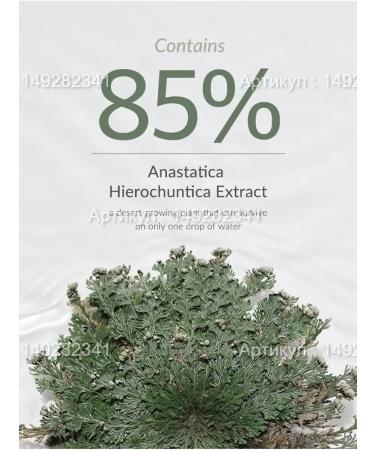 Dr Althea Pro Lab Anastatica Skin Conditioning Toner - Buy Online on GoSupps.com