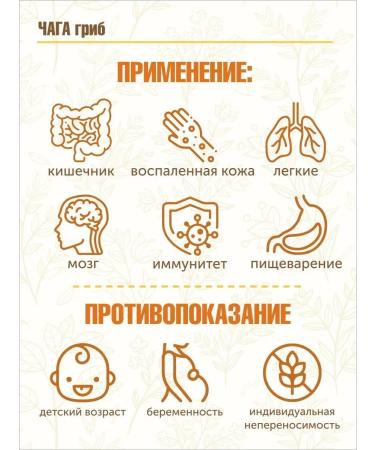 STAROSLAV Chaga (mushroom 50 gr.) - Buy Online on GoSupps.com