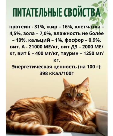 Night Hunter Cat food for the prevention of urolithiasis - Buy Online on GoSupps.com