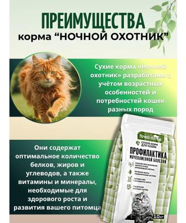 Night Hunter Cat food for the prevention of urolithiasis - Buy Online on GoSupps.com